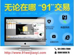 济南现货微盘软件开发_系统定制|91微交易_中国贸易网